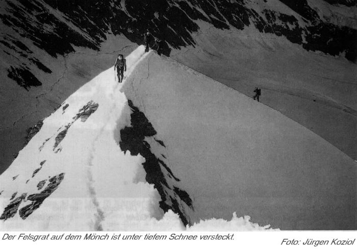 Was Passt Am Besten Zu Jungfrau